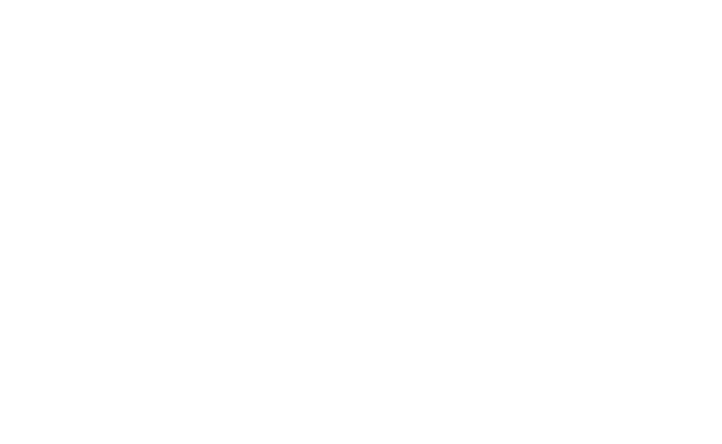 skyline_tint_all_white_logo